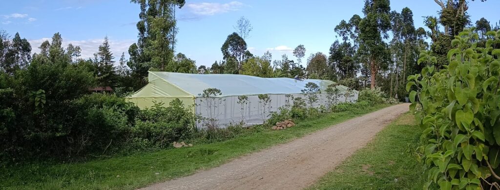 Premagrow Launches New Branch in Meru County